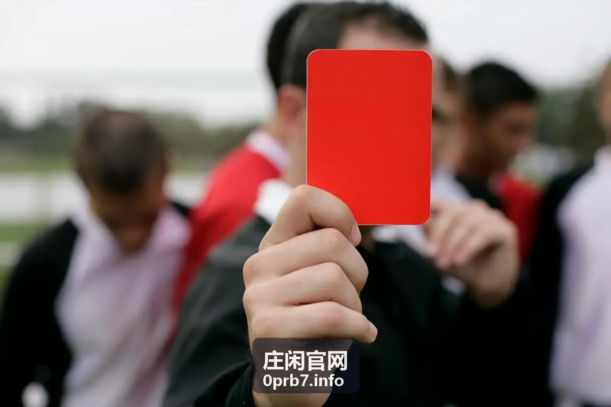 庄闲官网移动端体验影响分析配图